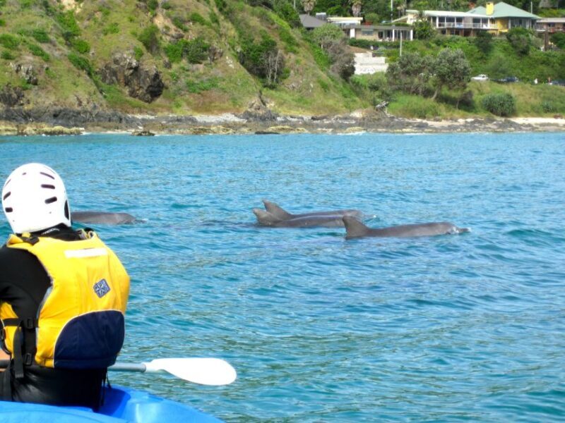 Byron Bay: The Byron Bay Sea Kayak Tour - Who Will Enjoy This Tour?
