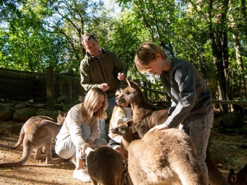 Byron Bay Wildlife Sanctuary Entry Ticket - Key Points