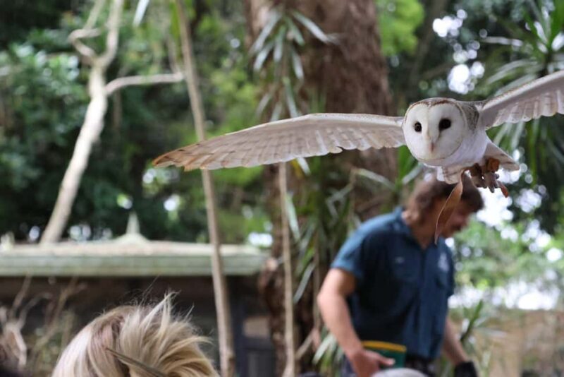 Byron Bay Wildlife Sanctuary Entry Ticket - An In-Depth Look at Byron Bay Wildlife Sanctuary