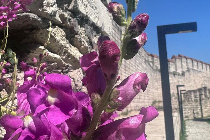 byzantion-walk-way-and-city-walls-in-istanbul-4