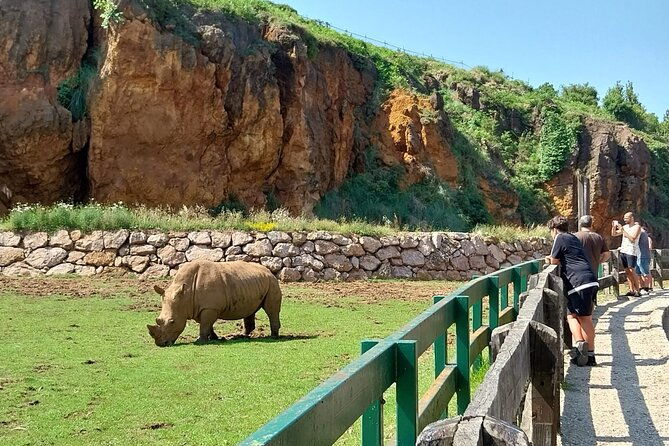 cabarceno-natural-park-visit
