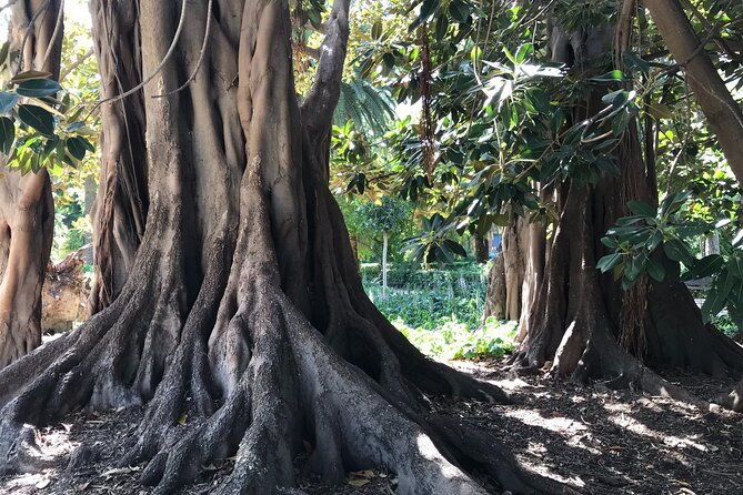 cabecera-park-private-segway-tour