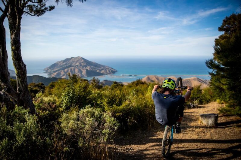 Cable Bay Adventure Park: E-bike hire - Key Points
