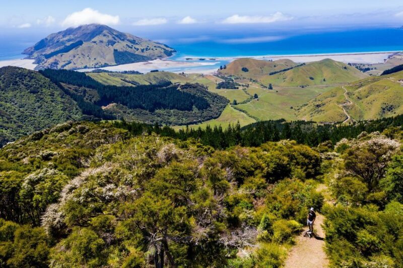 Cable Bay Adventure Park: E-bike hire - What to Expect on Your Ride