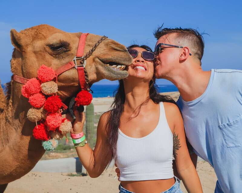 Cabo: ATV and Camel Combo Adventure Tour - What We Love About This Tour