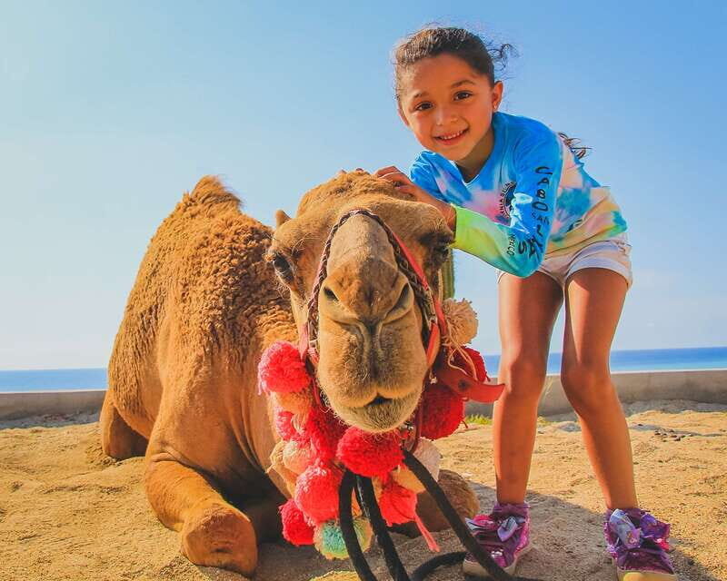 Cabo: ATV and Camel Combo Adventure Tour - Potential Drawbacks and Considerations