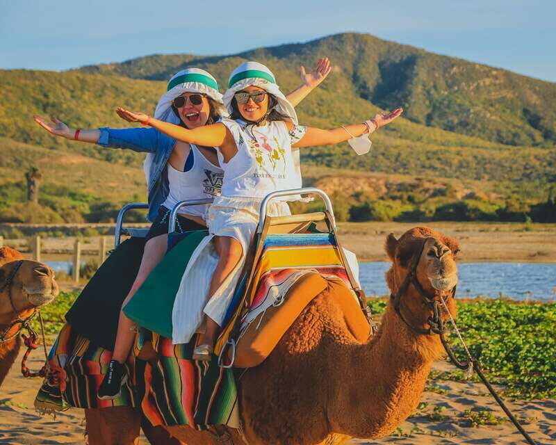 Cabo: ATV and Camel Combo Adventure Tour - Why This Tour Works Well