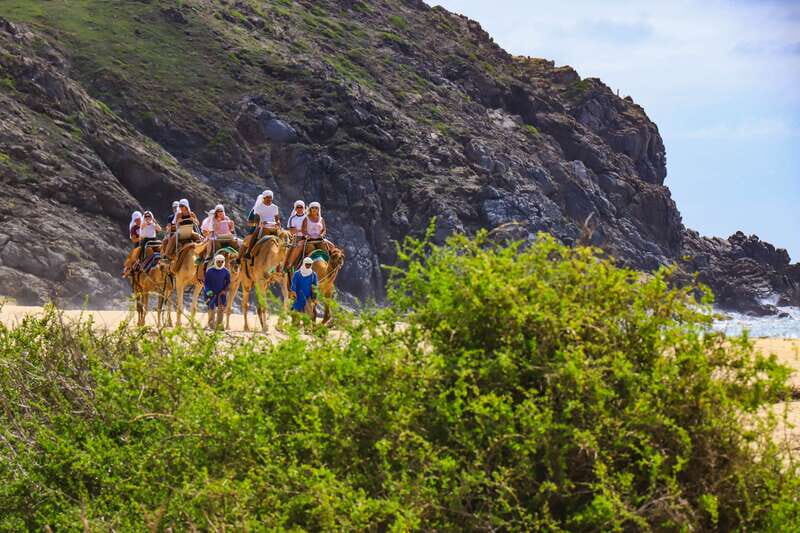 Cabo: ATV, Camel Ride, Mexican Lunch, and Tequila Combo Tour - Deep Dive into the Itinerary