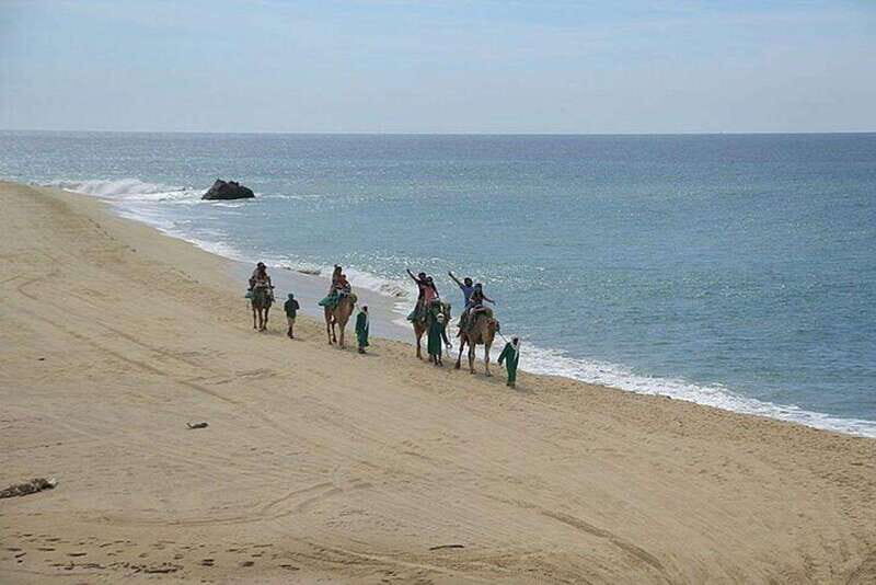 Cabo: Camel Ride On The Beach - Experience the Charm of a Camel Ride on Cabo’s Beaches