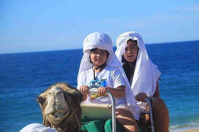 Cabo: Camel Ride On The Beach - Key Points