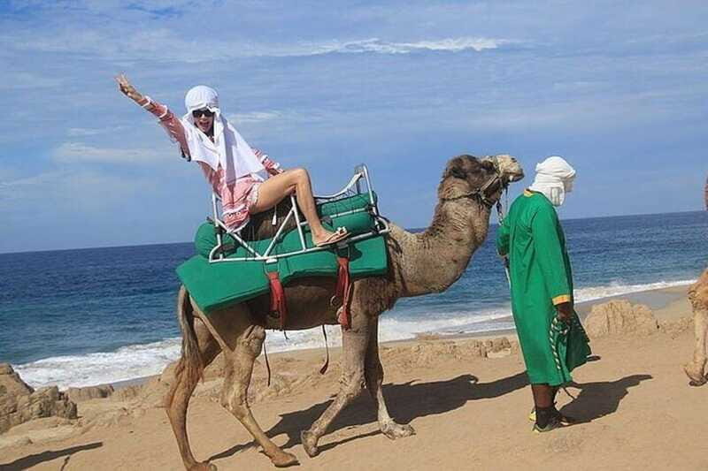 Cabo: Camel Ride On The Beach - Who Will Love This Experience?