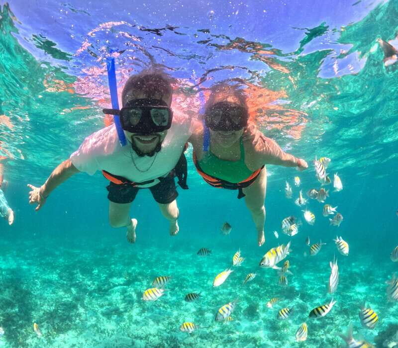Cabo Catamaran Cruise  Arch, Snorkeling, Open Bar & Snacks - Why This Tour Offers Great Value