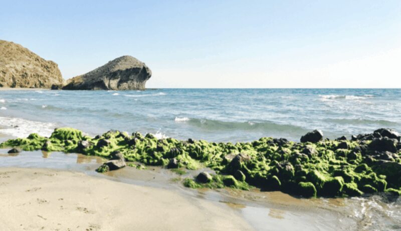 Cabo de Gata: 4x4 Tour Genoveses, Monsul and Gold Mines - Final Thoughts