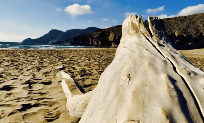 Cabo de Gata: 4x4 Tour Genoveses, Monsul and Gold Mines - FAQs