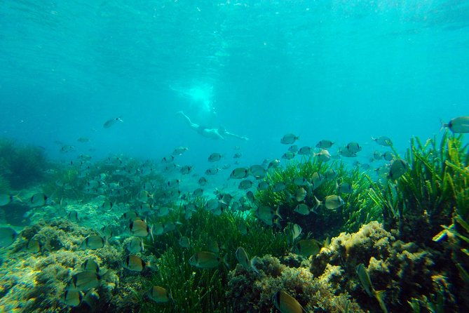 cabo-de-gata-active-guided-kayak-and-snorkel-route-through-the-coves-of-the-natural-park