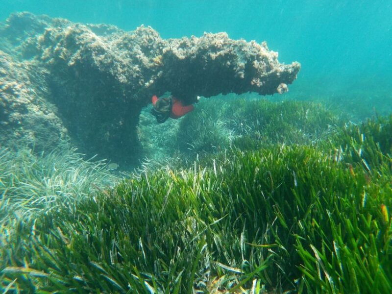 cabo-de-gata-natural-park-guided-snorkeling-tour