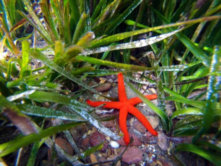 cabo-de-gata-natural-park-kayaking-and-snorkel-excursion