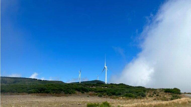 cabo-girao-seixal-fanal-more-full-day-madeira-west-tour