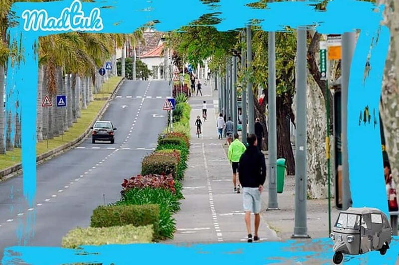Cabo-Girão Skywalk + Câmara de Lobos Tuk-Tuk Tour by MadTuk - Who Should Consider This Tour?