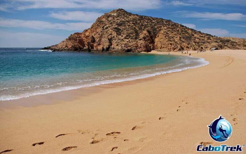 Cabo Ocean SAFARI - What to Expect from the Cabo Ocean SAFARI