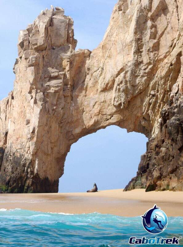 Cabo Ocean SAFARI - Final Thoughts