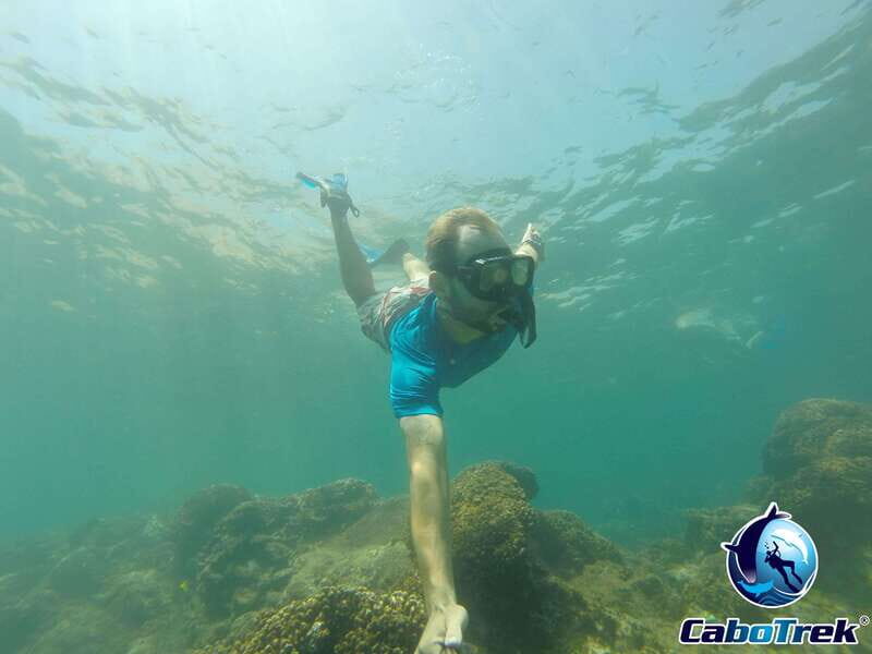 Cabo Ocean SAFARI - FAQ