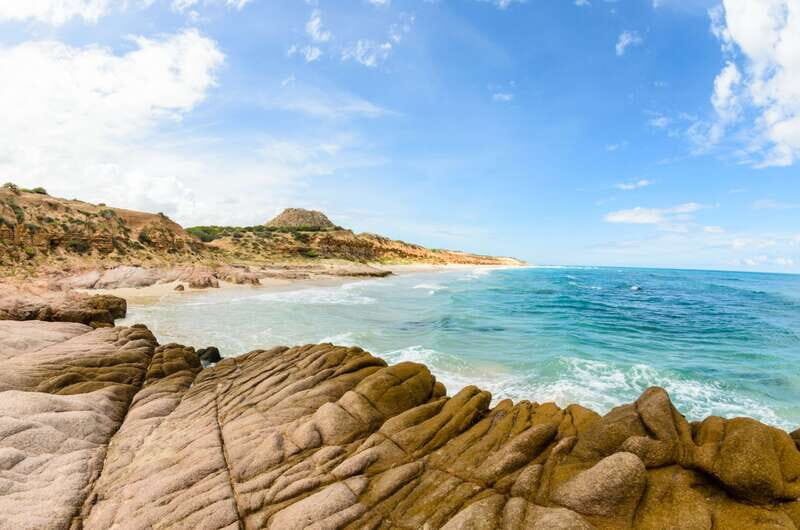 Cabo Pulmo Marine Park: Scuba Diving Excursion - Post-Dive: Local Mexican Cuisine and Relaxation