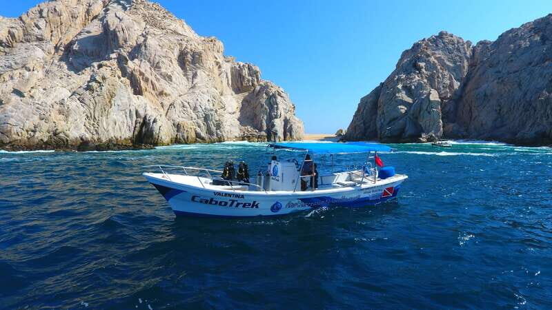Cabo San Lucas: 2.5-Hour Whale Watching Tour - Final Thoughts