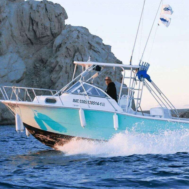 Cabo San Lucas: 26' Sea Pro "Niebla" Fishing Charter - Key Points