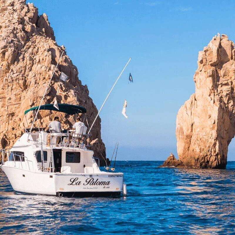 Cabo San Lucas: 33' Bertram "La Paloma" Fishing Charter - An Overview of the Experience