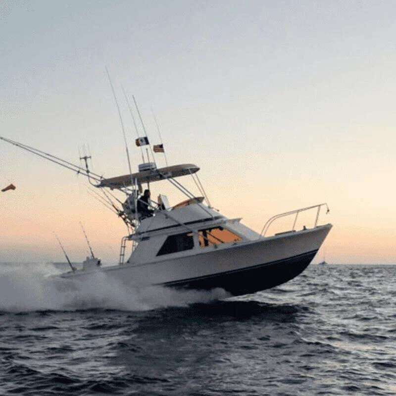 Cabo San Lucas: 33' Blackfin "Wahoo!" Fishing Charter - Key Points