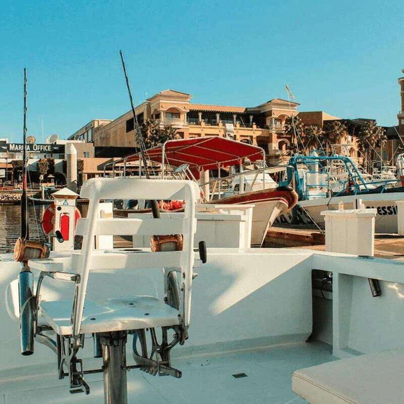 Cabo San Lucas: 38' Striker "Reel Medicine" Fishing Charter - The Boat and Crew: Comfort and Expertise