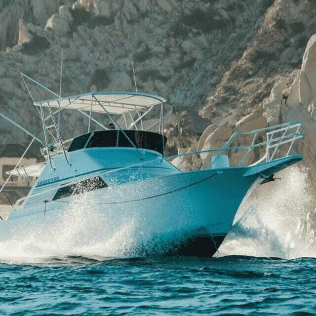 Cabo San Lucas: 38' Striker "Reel Medicine" Fishing Charter - Who Should Book This Tour?
