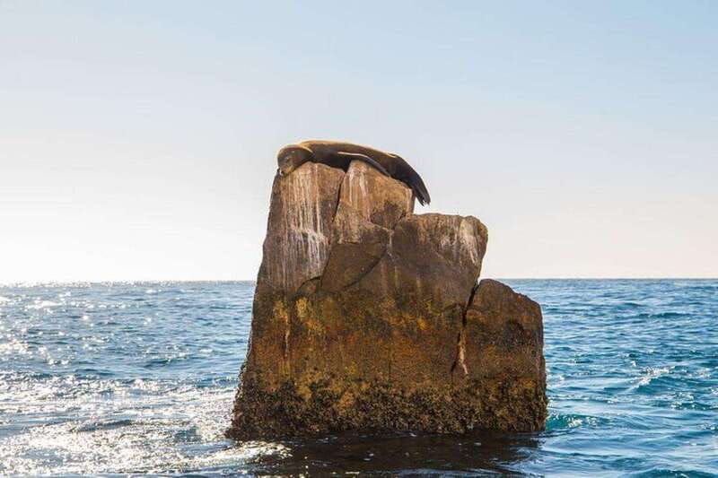 cabo-san-lucas-45-minute-glass-bottom-boat-tour