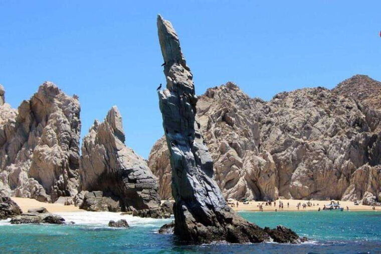 cabo-san-lucas-45-minute-glass-bottom-boat-tour