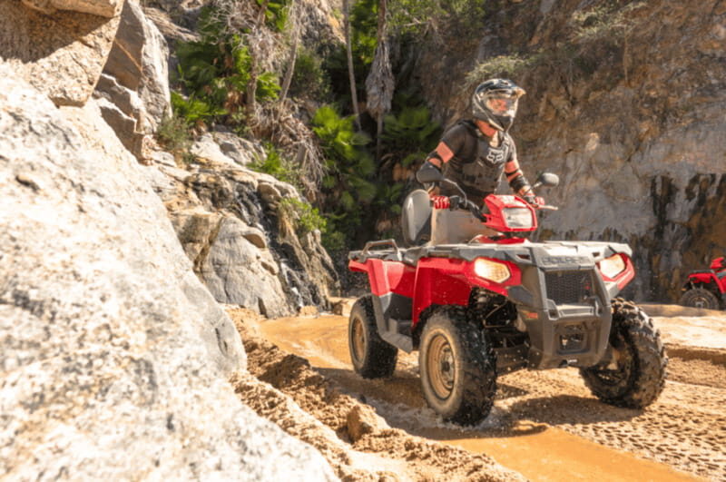 Cabo San Lucas: ATV Desert Adventure & Mexican Buffet - Key Points