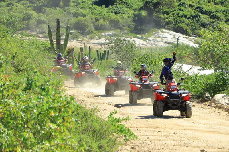 Cabo San Lucas: ATV Desert Tour with Mexican lunch - The Value of the Experience