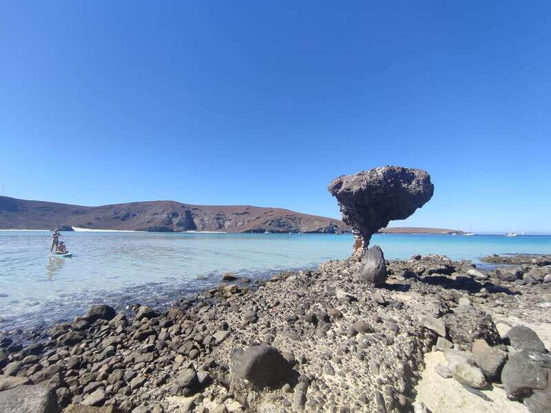 Cabo San Lucas: Balandra Beach and City Tour - Key Points  