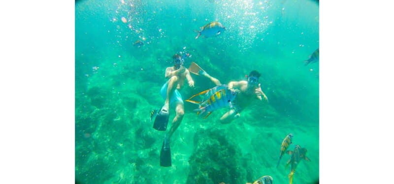 Cabo San Lucas: Beach Hopper Small-Group Snorkeling Tour - Key Points  