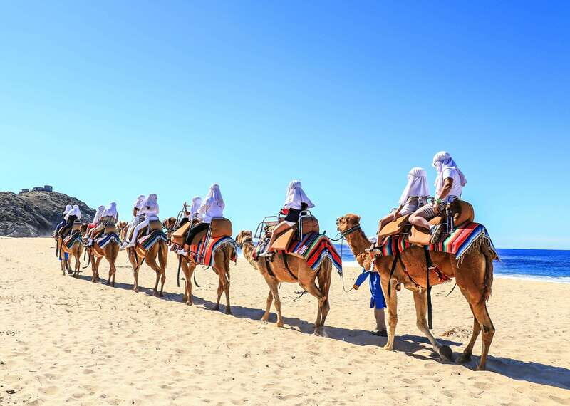 Cabo San Lucas: Cabo Arch and Camels Adventure Combo - An In-Depth Look at the Cabo Arch and Camels Adventure Combo