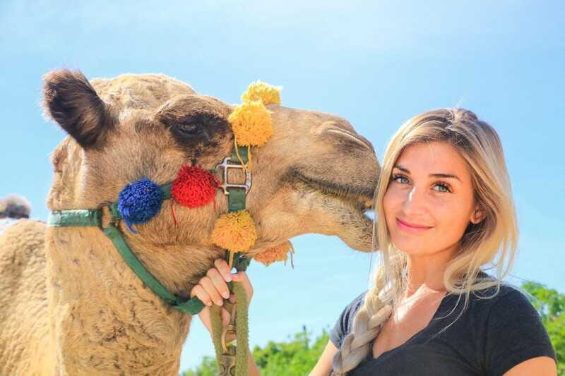 Cabo San Lucas: Cabo Arch and Camels Adventure Combo - Additional Info
