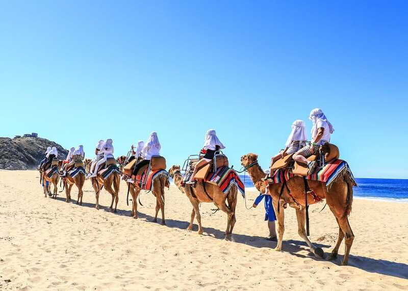 Cabo San Lucas: Cabo Arch and Camels Adventure Combo - Final Thoughts