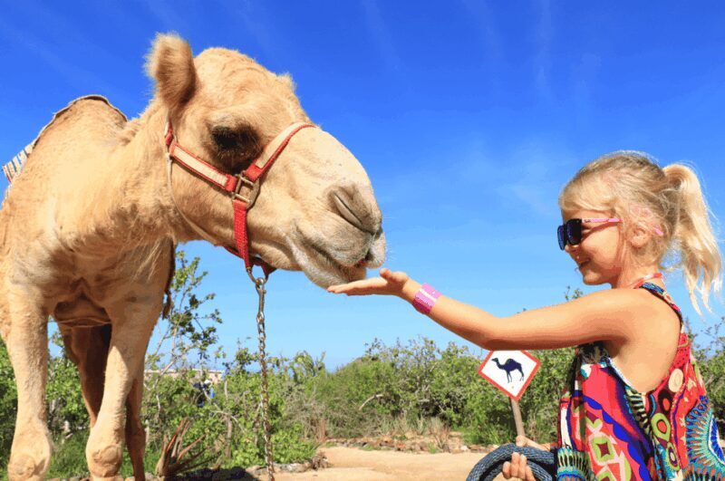 Cabo San Lucas: Camel Ride & ATV with Mexican Lunch - Authentic Mexican Lunch at Tierra Sagrada