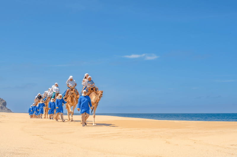 Cabo San Lucas: Camel Ride & ATV with Mexican Lunch - Tequila Tasting by the Ocean: A Perfect Finish