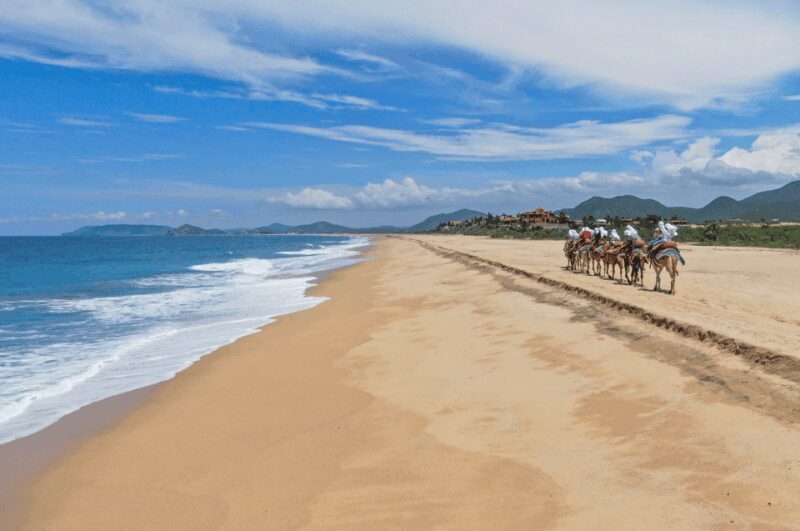 Cabo San Lucas: Camel Ride & ATV with Mexican Lunch - FAQ