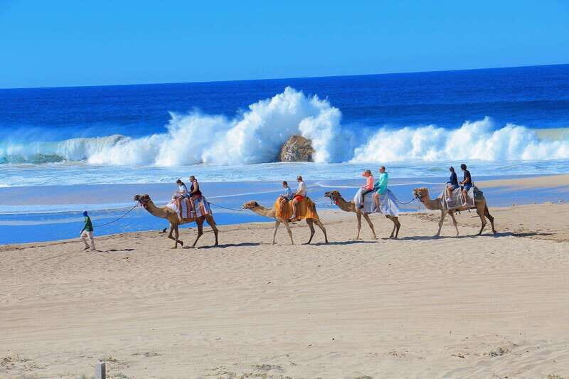 Cabo San Lucas: Camel Ride & Off-Road UTV Combo Adventure - An In-Depth Look at the Tour
