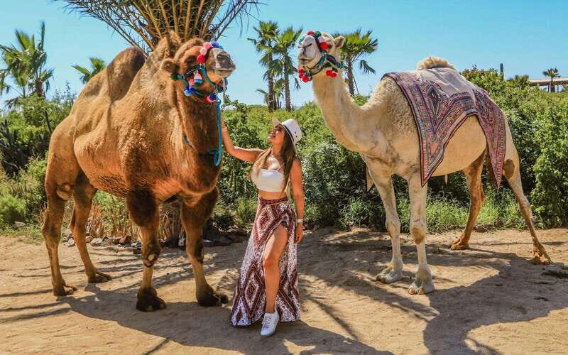 Cabo San Lucas: Camel Ride & Off-Road UTV Combo Adventure - Final Thoughts