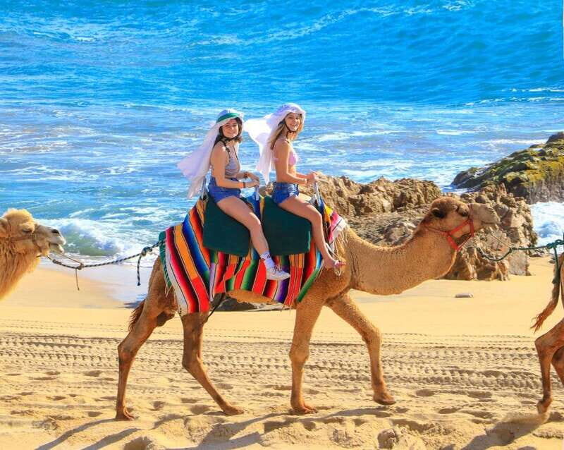 Cabo San Lucas: Camel Ride & Off-Road UTV Combo Adventure - FAQ