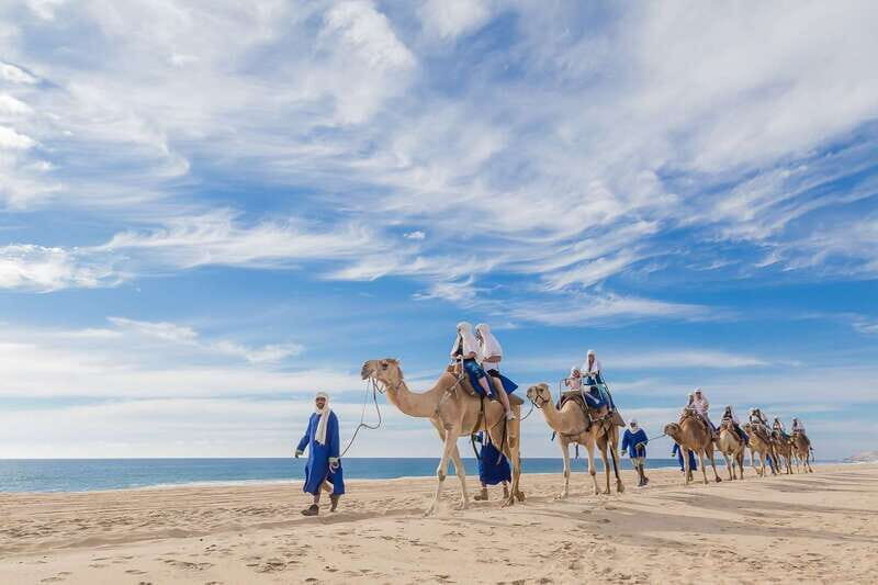 Cabo San Lucas: Camel Safari Tour with Lunch and Tequila - A Detailed Breakdown of the Tour