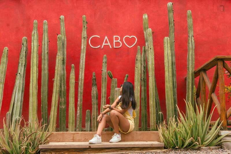 Cabo San Lucas: Camel Safari Tour with Lunch and Tequila - Authentic Experiences and Genuine Insights